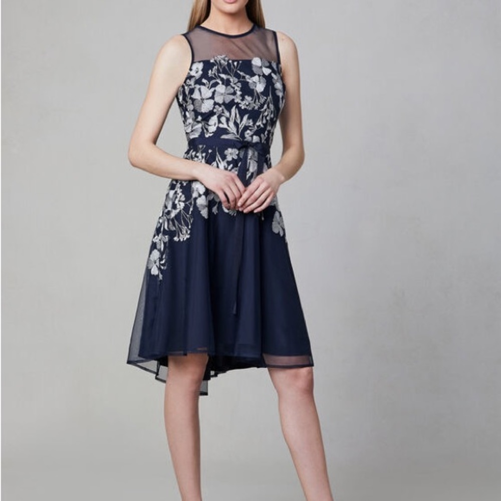 Illusion Neck Fit & Flare Dress